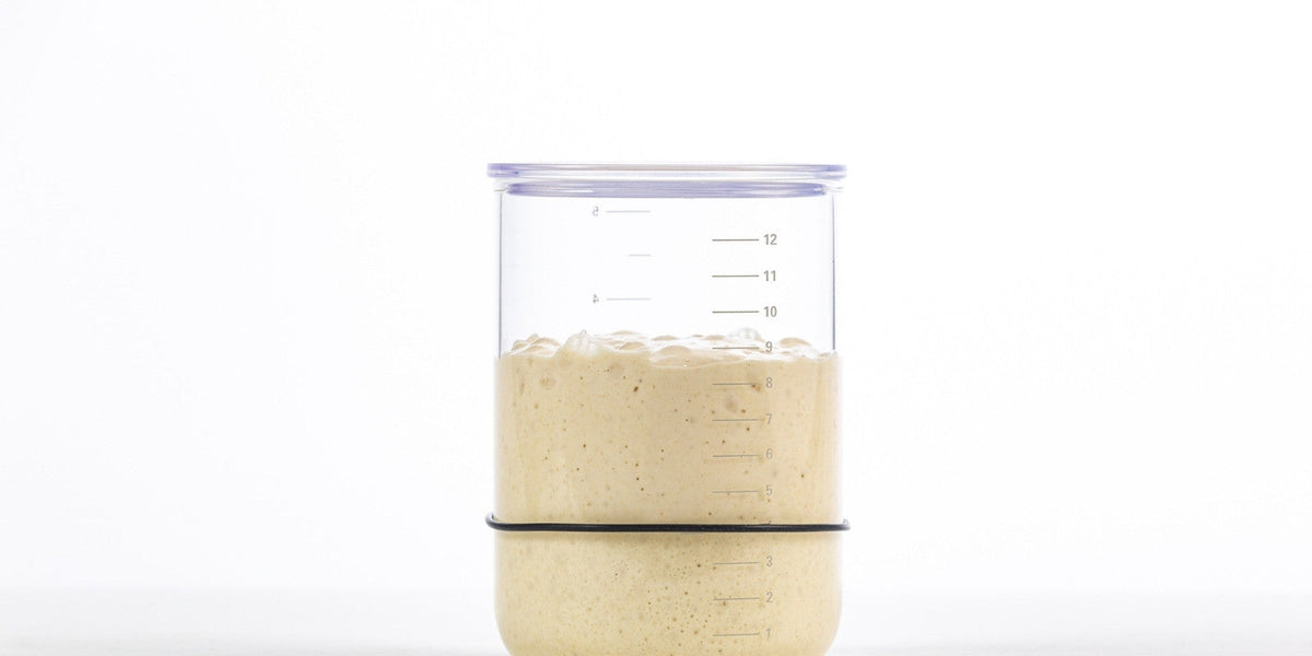Sourdough & Fermentation