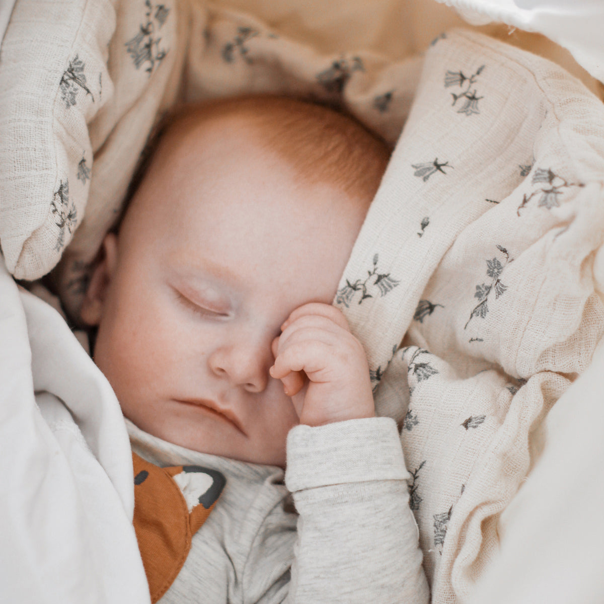 Membantu Basic Organic Baby Hammock Nature