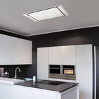 Witt WS 958 W-4 Plafondafzuigkap