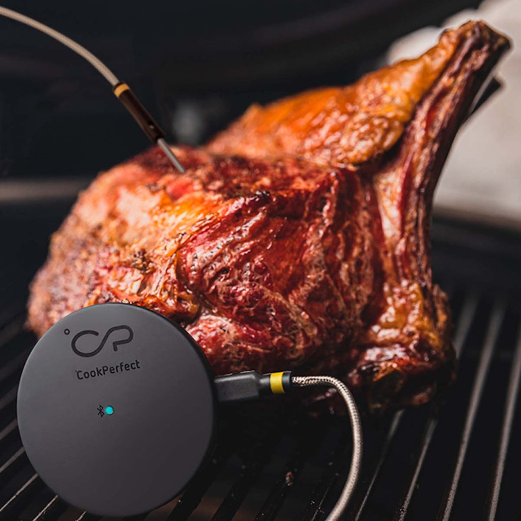 Witt CookPerfect Comfort Enkele Bakthermometer Zwart