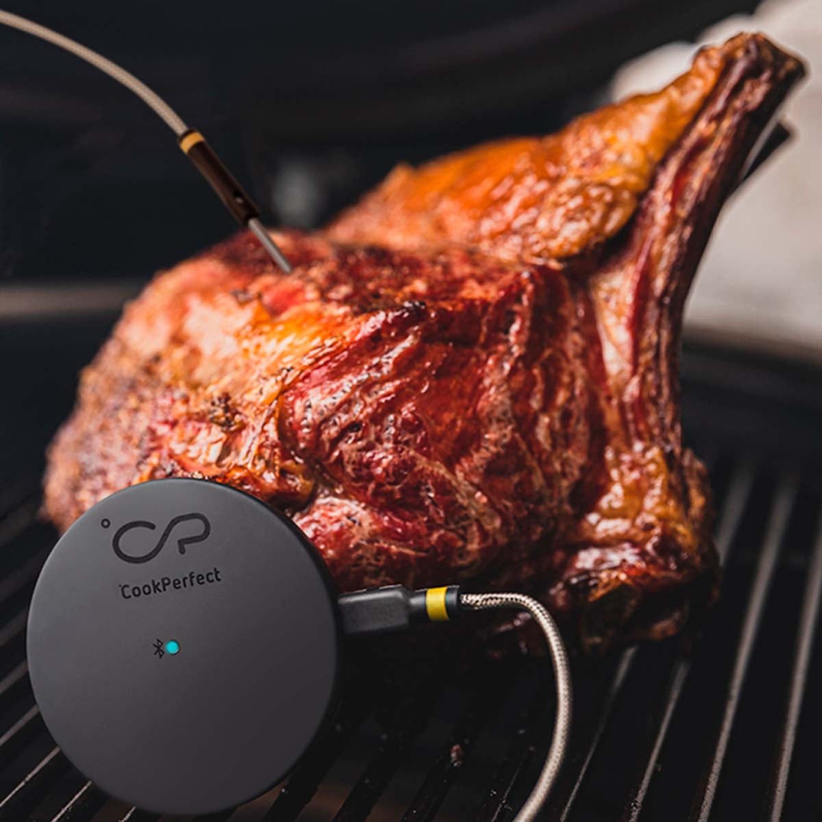 Witt CookPerfect Comfort Yksittäinen paistolämpömittari Musta