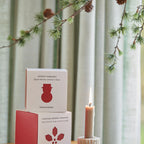 Teministeriet Holiday 430 Christmas Orange Cinnamon Organic - Box Tea