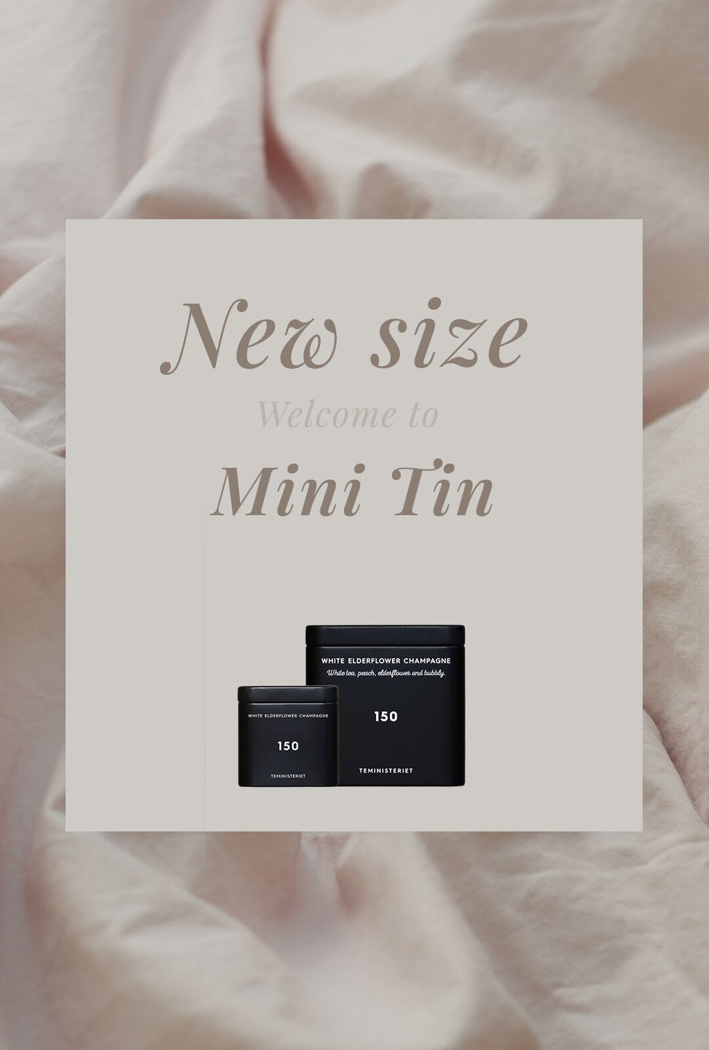 Teministeriet Signature 150 White Elderf Champagne Burk - Mini Tea