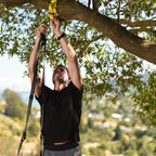 TRX Suspension Anchoring Yellow