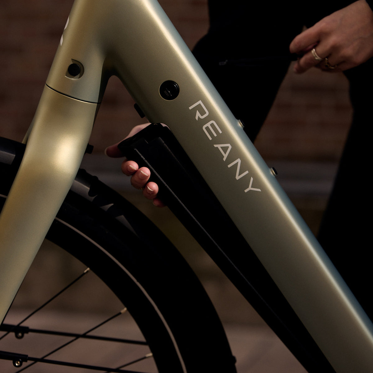 Reany V1 Vivo City Fresh Grå