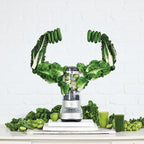 Sage SBL620SIL Blender Silver