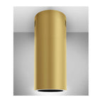 Witt Tube Free GN Free hanging hood Brass