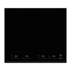 Witt WIF 60 EVW Induction hob