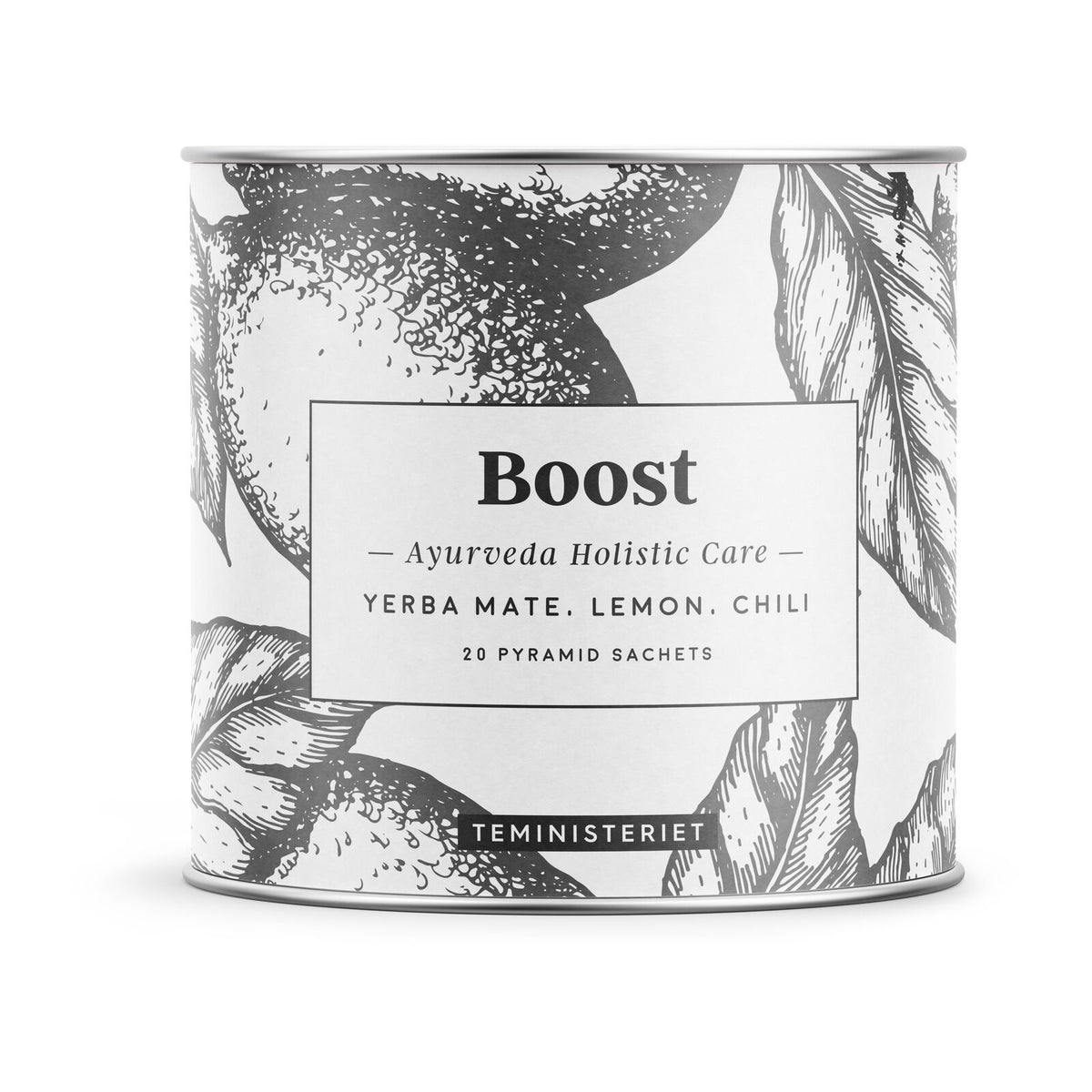 Teministeriet Ayurveda Boost Pyramid Organic Tea