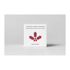 Teministeriet Holiday 430 Christmas Orange Cinnamon Organic - Box Tea