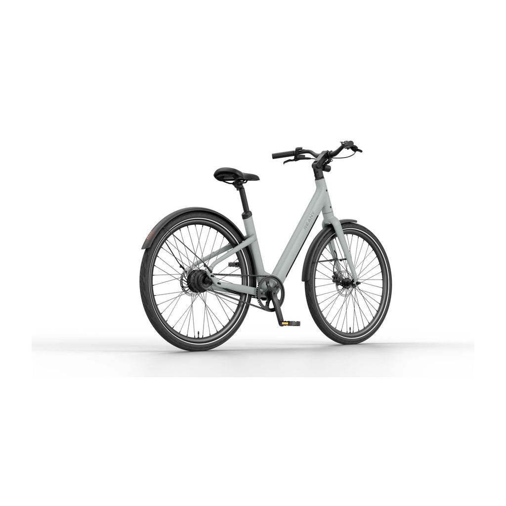 Reany V1 Vivo City Fresh Gray