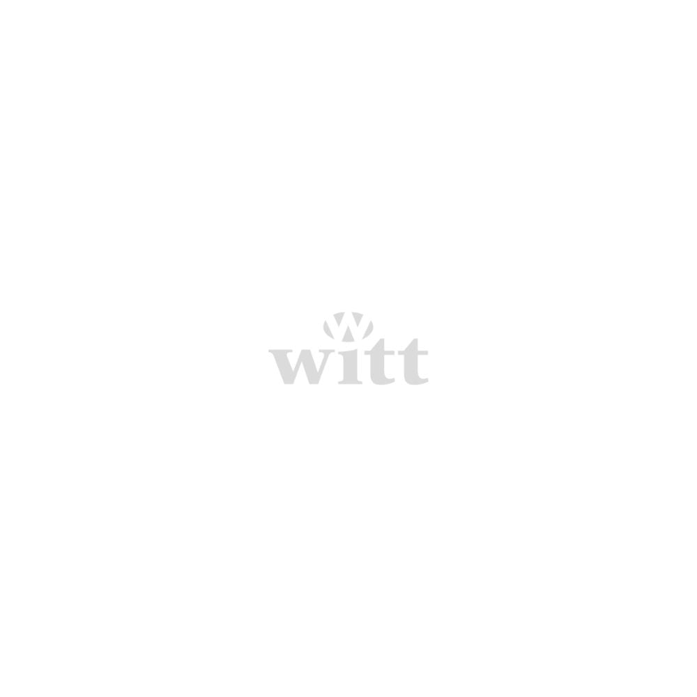 Witt Ventilator Fjernkontroll Black IR RZ.993.00.00.89